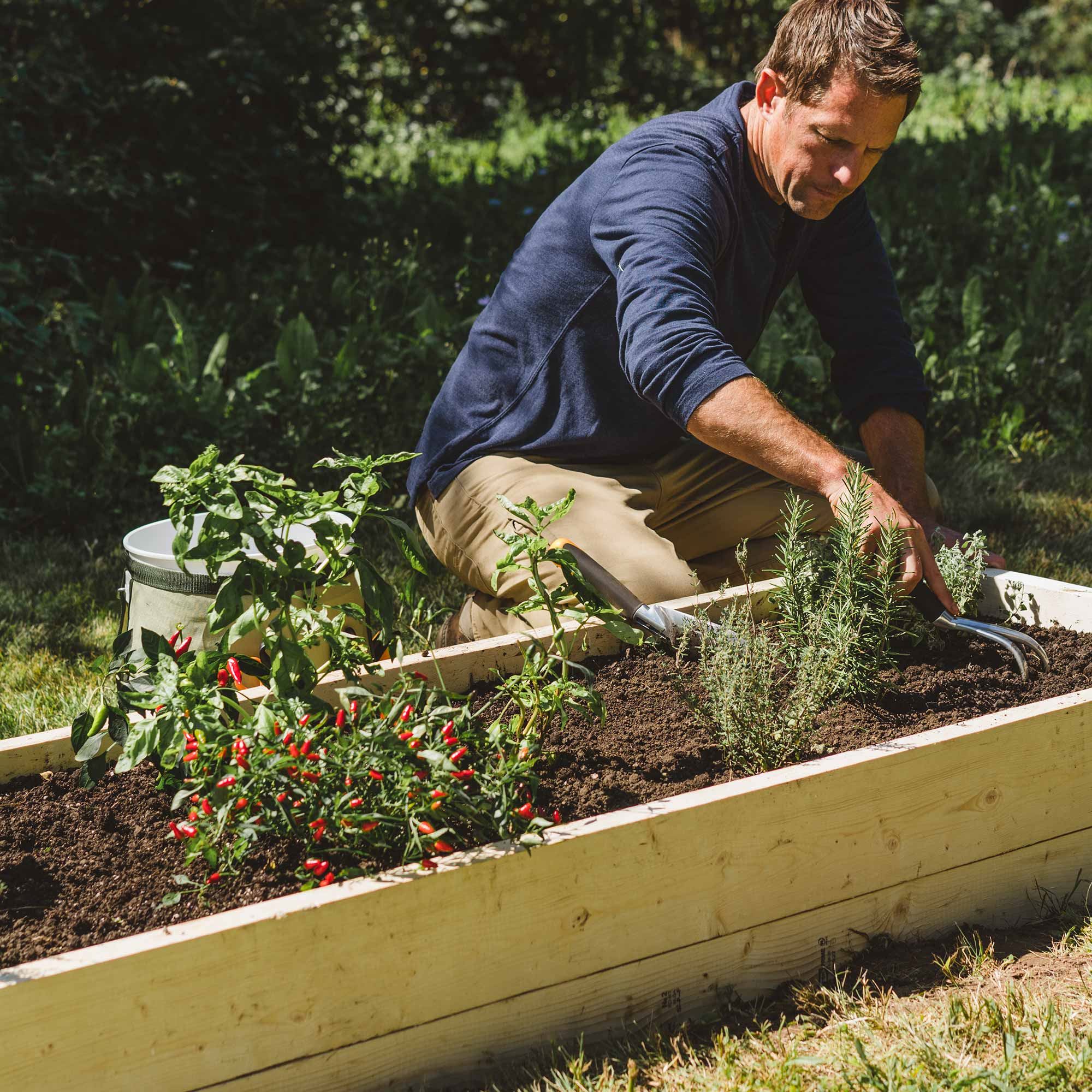 The Ultimate Guide to Planning, Building and Planting Raised Garden Beds
