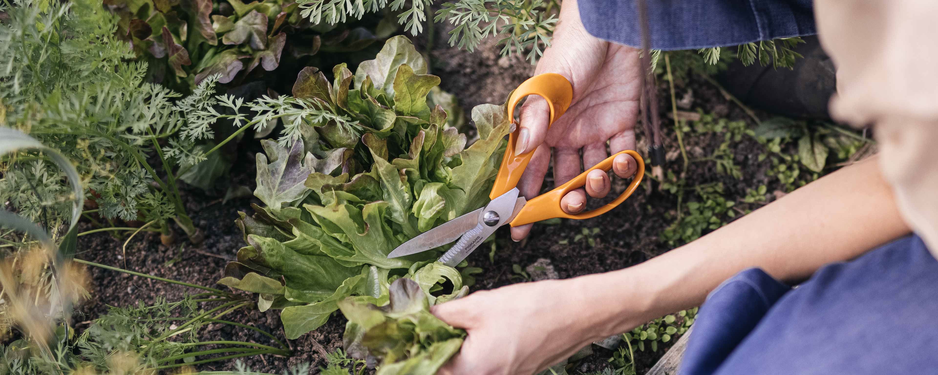 Kit d'outils de jardinage Fiskars : pour les amoureux des plantes